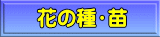 �Ԃ̎�E�c