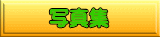 �ʐ^�W